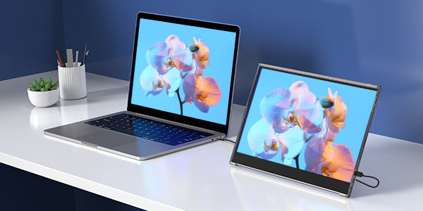 Monitor Portátil