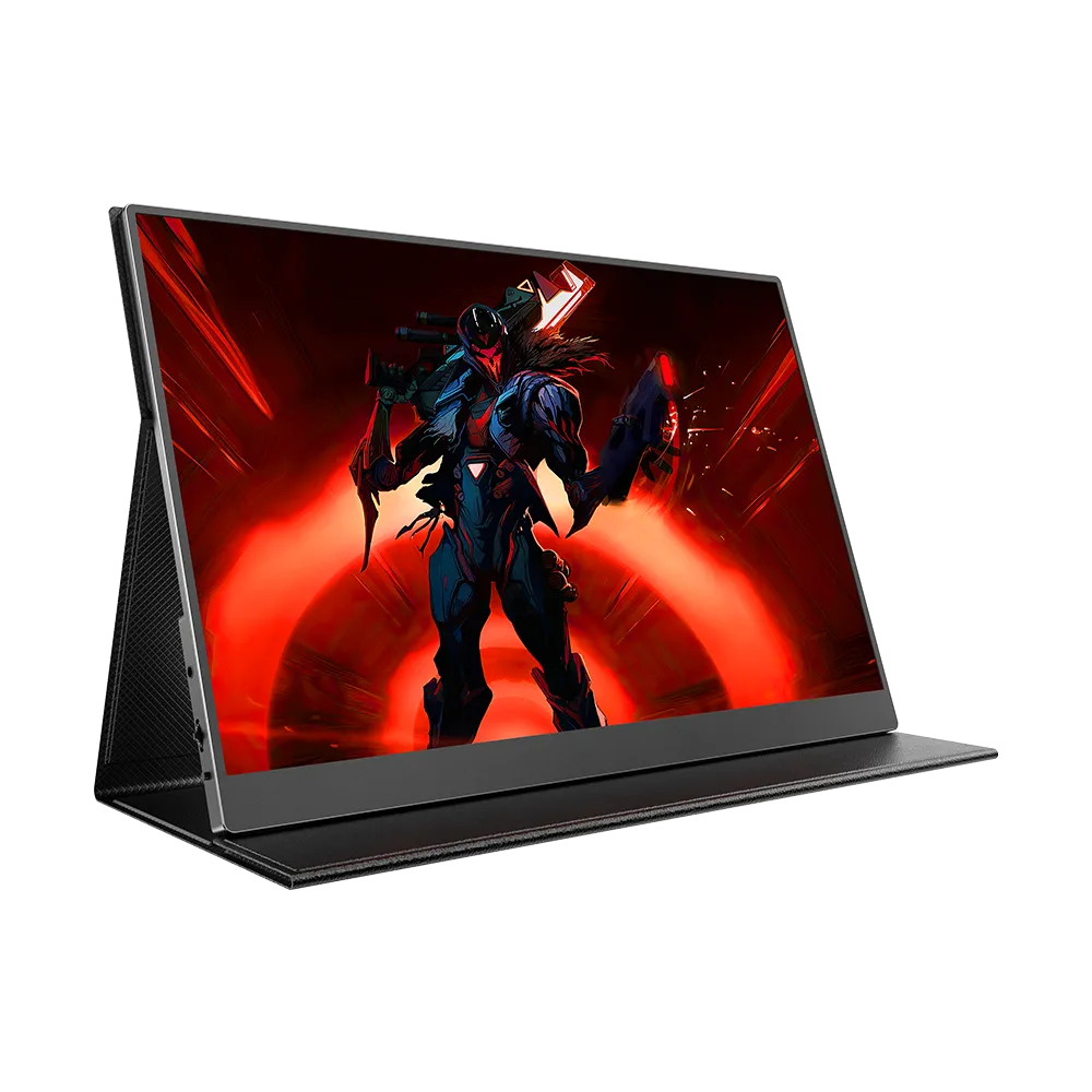 GR16DQ | Monitor para jogos de 120 Hz, resolução 1600P, tela de 16 polegadas, compatível com VESA